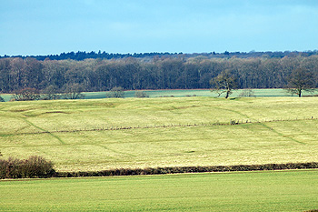 The site of The Hoult seen from the ridge February 2012